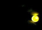 bellylightanimate.gif